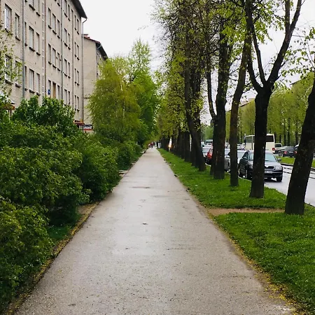 City Apartament *